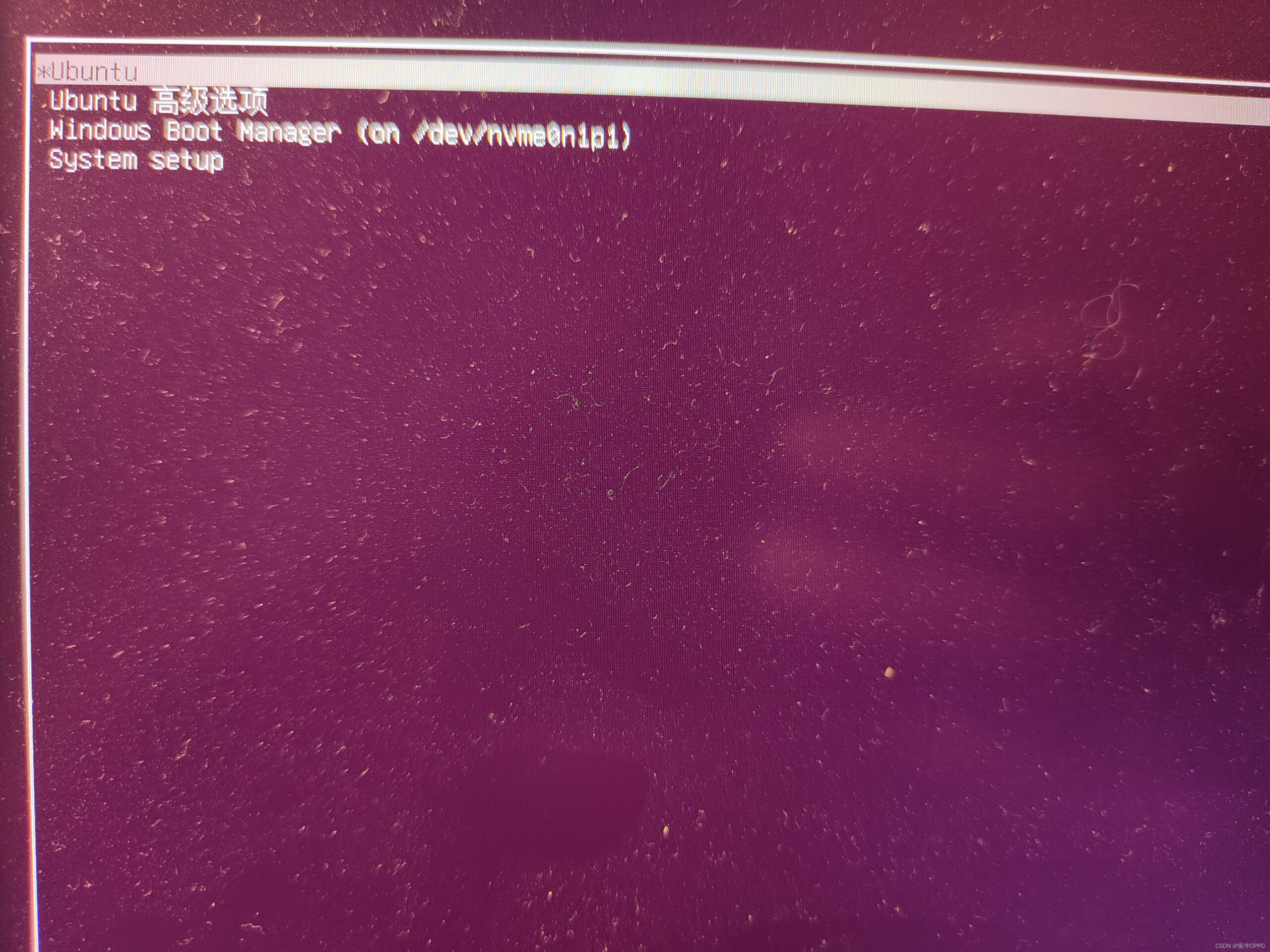 ubuntu系统装Win10双系统_win10乌班图双系统安装_https://bianchenghao6.com/blog_后端_第34张