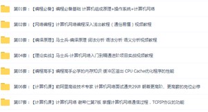 7套计算机专题编程必备基础计算机组成原理 编程高手必学内存知识 缓冲区溢出CPU Cache优化程序的性能视频教程插图(1)