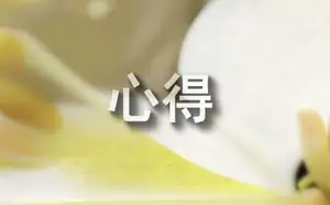 Java实训心得（通用18篇）