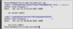 img/313453_3_En_2_Fig10_HTML.jpg