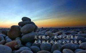 学编程入门