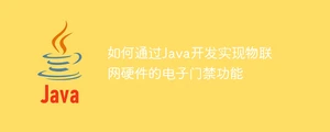 如何通过java开发实现物联网硬件的电子门禁功能