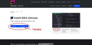 下载 IDEA 2024.2 版本安装包