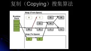 image-20200217213229766