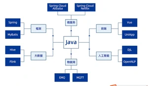 Java编程语言寿命更长
