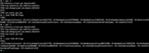 image-20200216114538731