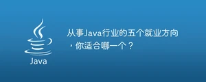 从事java行业的五个就业方向，你适合哪一个？