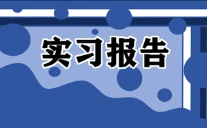 Java实习报告范文5篇