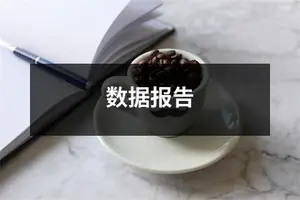 数据报告