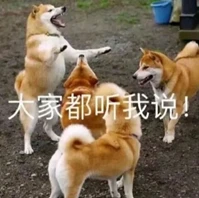 39d5a7d90c87cbbf36a5056a24b45a8b.png