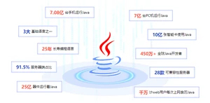Java应用情况图.png
