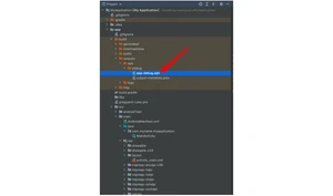 让我们选中这个 apk 文件,并且点击绿色的播放按钮