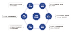 Java核心课涵盖Java基础、面向对象编程、核心框架和常用工具、数据库、Web前端、中间件、软件运维、微服务、云原生、AI大模型、AI编程工具等全套知识体系和大厂项目实战。