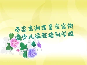 南昌东湖区董家窑街道少儿编程培训学校