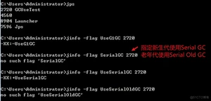 【大数据Java基础- JVM 21】垃圾回收（五）垃圾回收器 （二）_垃圾收集器_02